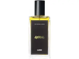 Grass 100 ml