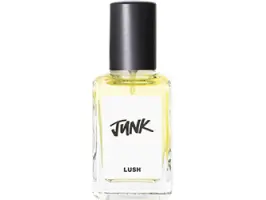 Junk 100 ml