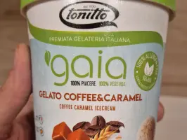 Sladoled gelato coffee & caramel 250 g