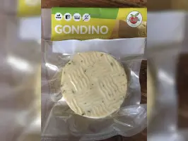 Gondino sir