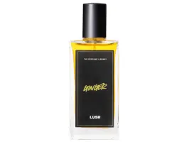 Ginger 100 ml