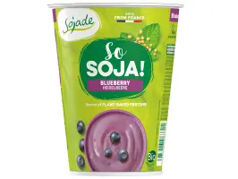 Jogurt borovnica 125 g